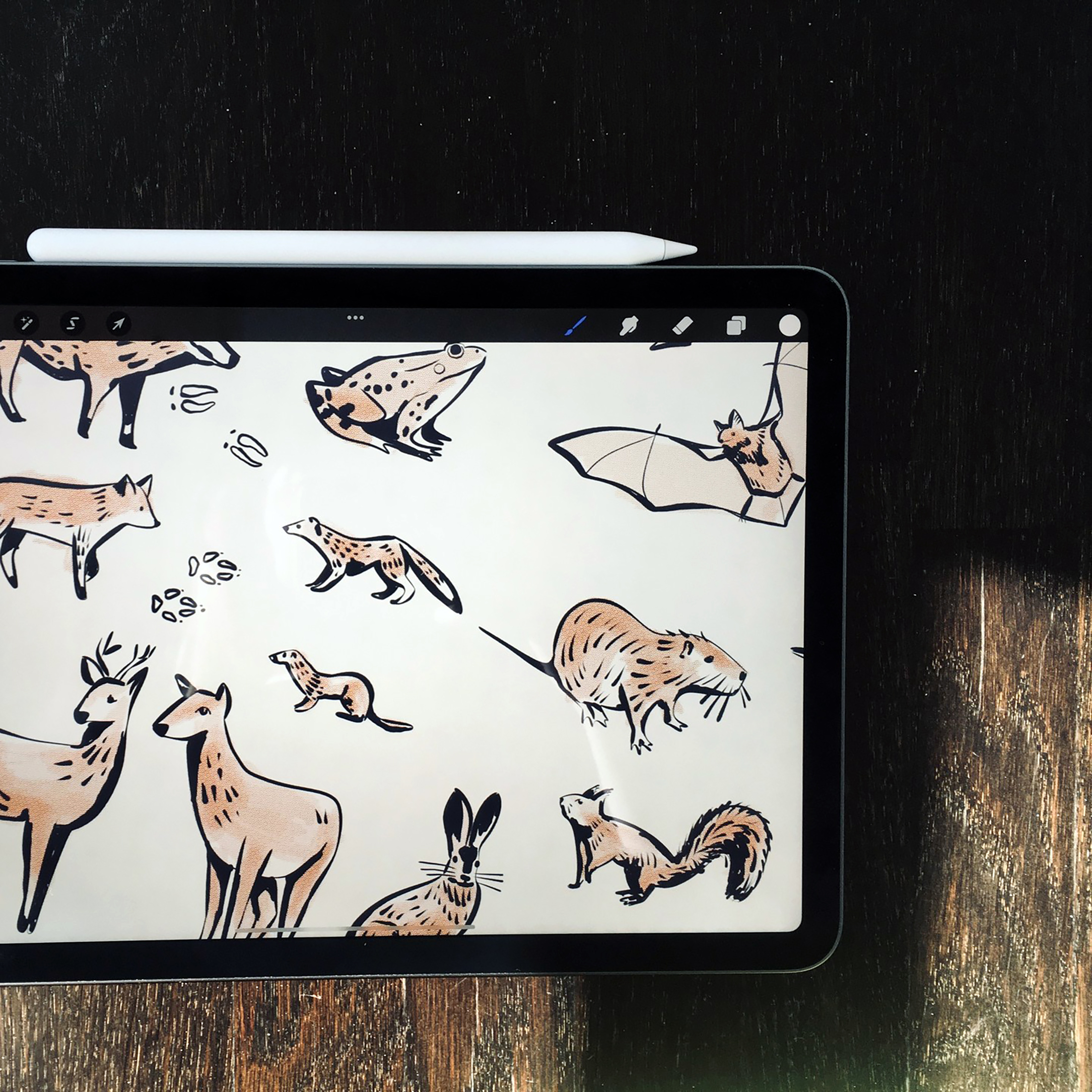 Labo·mg — atelier de design environnemental